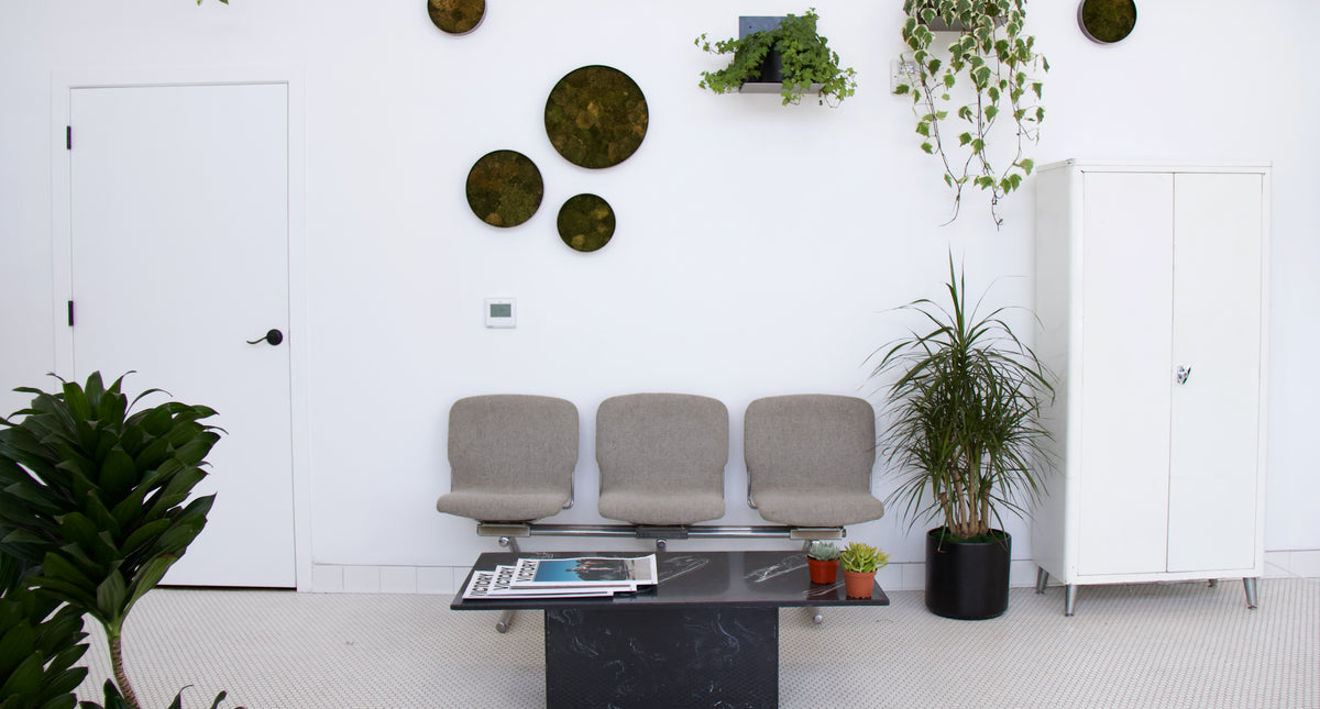 Blind Barber Blind Barber - Highland Park, L.A.